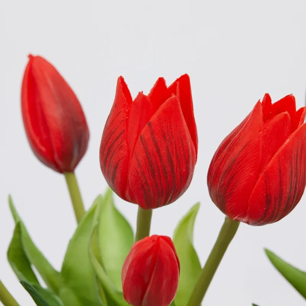 Bouquet di 5 Tulipani Olis Ass. H 26 Cm Lilac 1 Pz - EDG