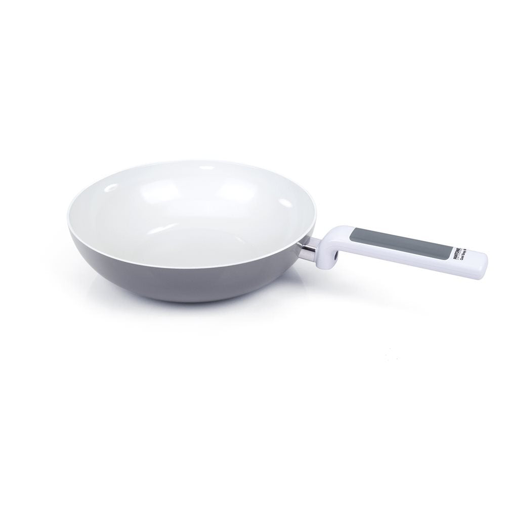 WOK 1 MANICO CM 28 COLORE GRIGIO Moneta