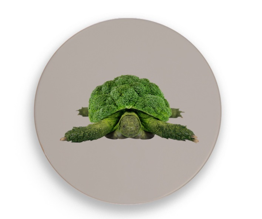 Sottopentola in ceramica, Ø 18 cm, tartaruga WD Lifestyle