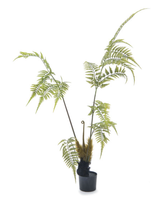 PIANTA FELCE 150cm VERDE Bruco