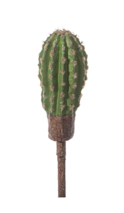 PIANTA CACTUS 35cm VERDE Bruco