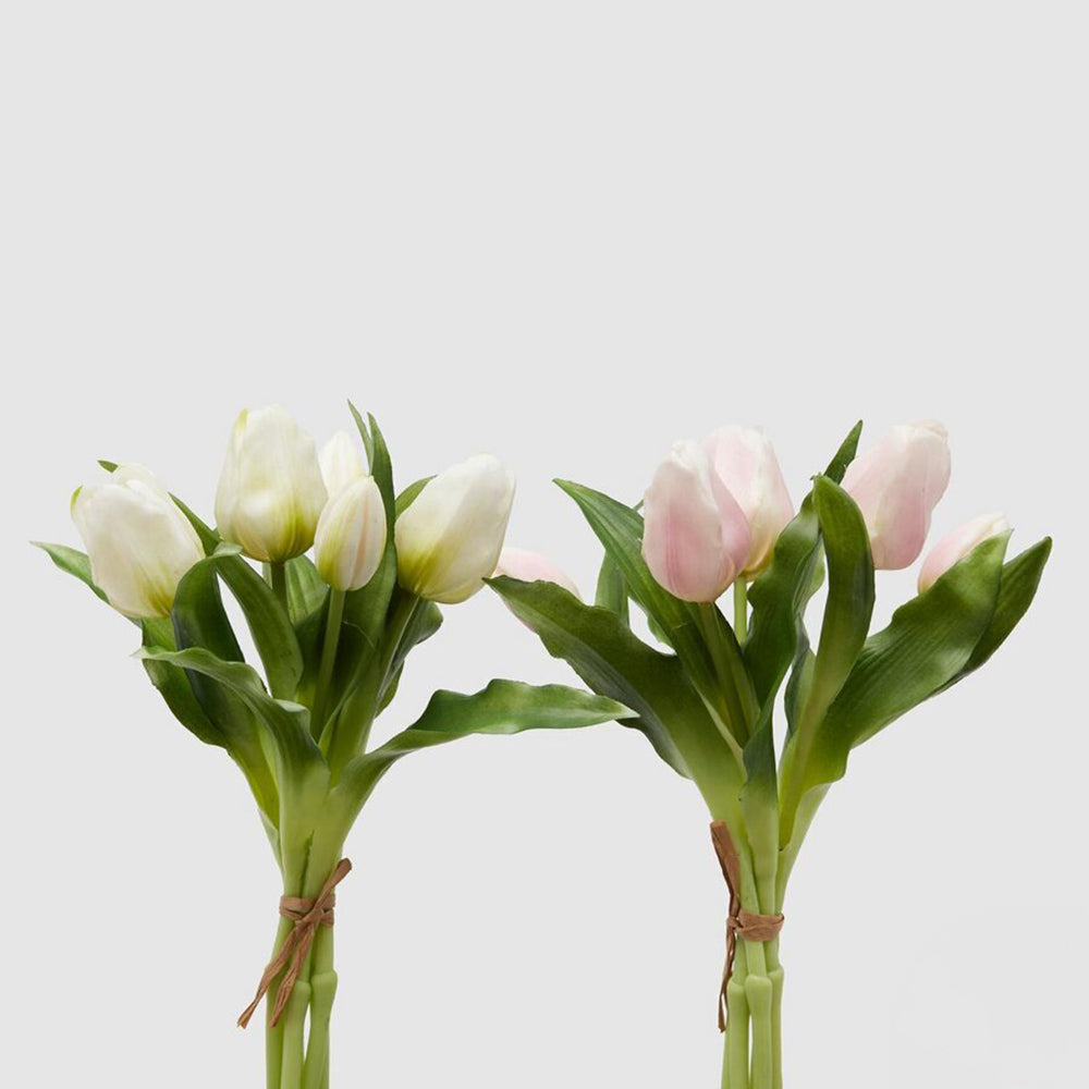 Bouquet 5 Tulipani Olis Ass. H 28 Cm White Pink 1 Pz - EDG