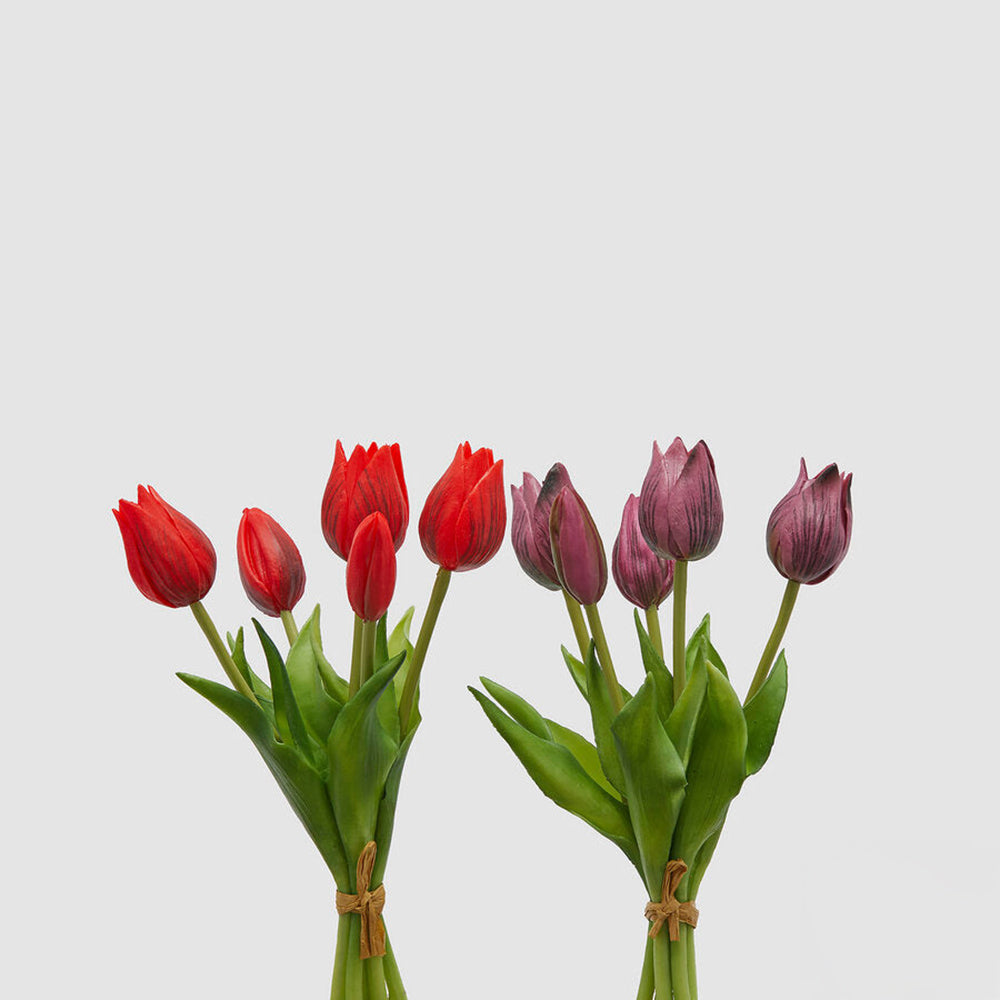 Bouquet di 5 Tulipani Olis Ass. H 26 Cm  Lilac 1 Pz - EDG