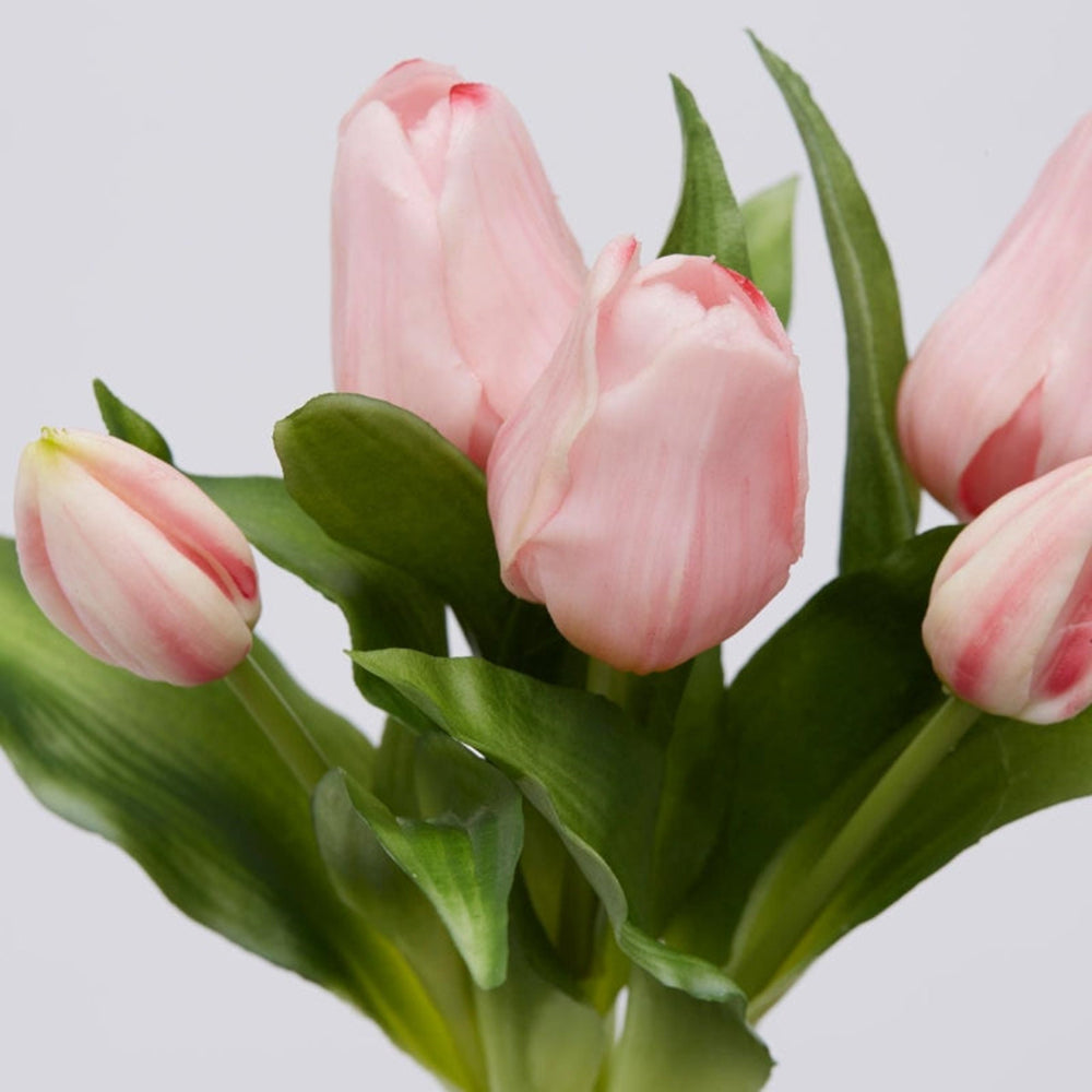 Bouquet 5 Tulipani Olis Ass. H 28 Cm Antique Pink 1 Pz- EDG