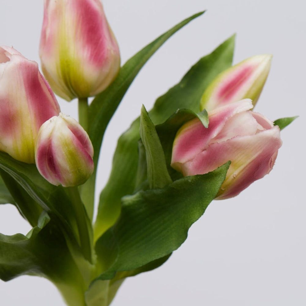 Bouquet 5 Tulipani Olis Ass. H 28 Cm Antique Pink 1 Pz- EDG