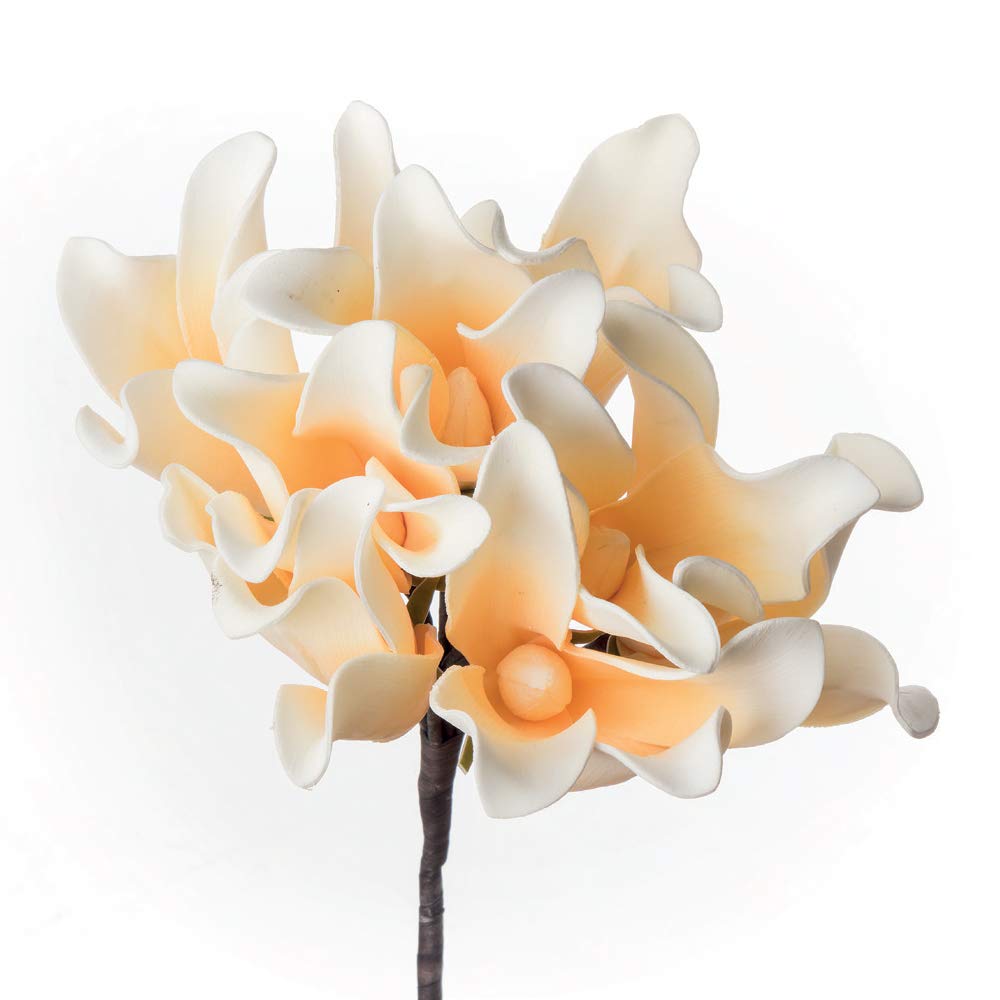 Frangipani in Eva-POLIETILENE ESPANSO 82h Fiore Artificiale L'oca Nera