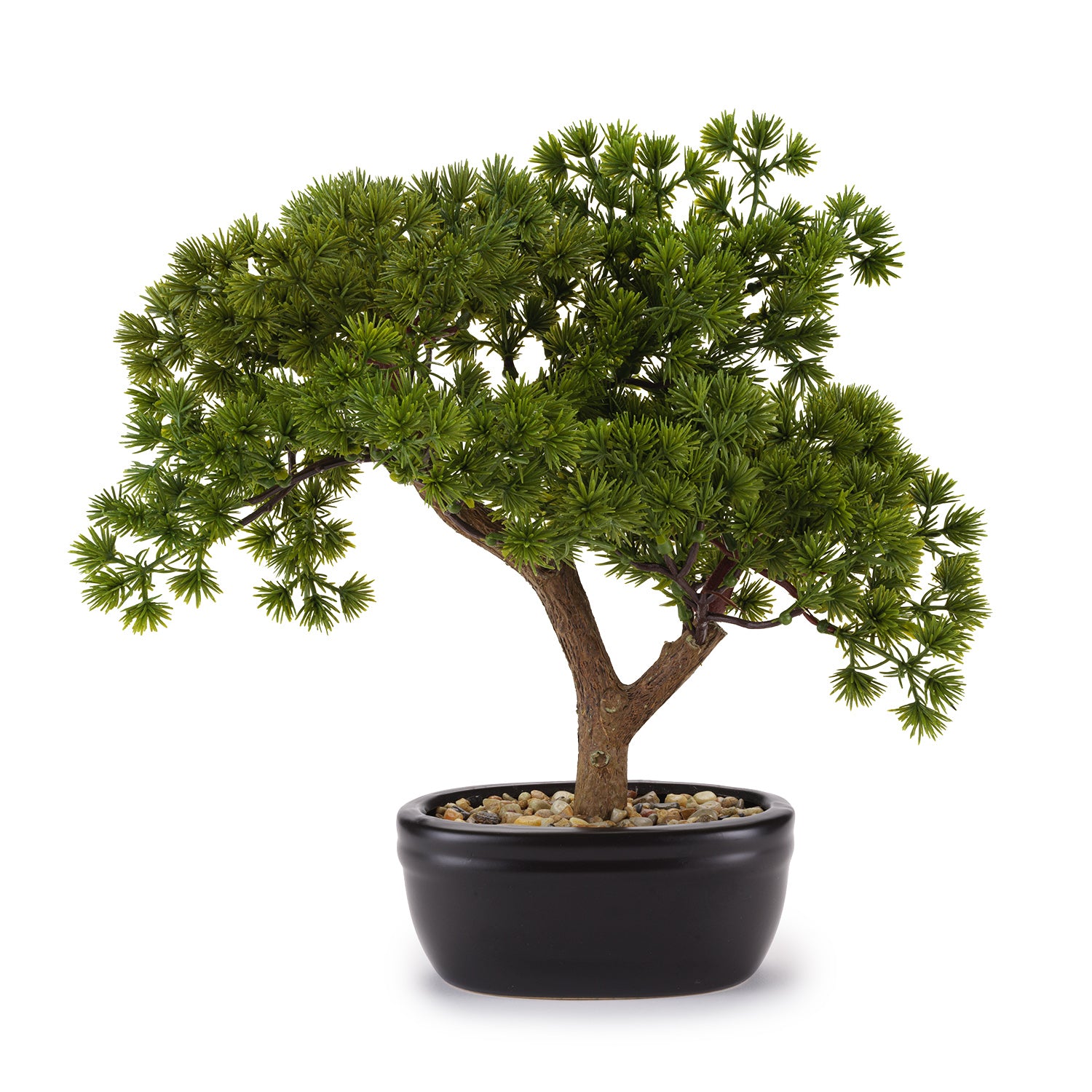 Bonsai Pino C/Vaso Ceramica Cm. 56x43H - Henriette