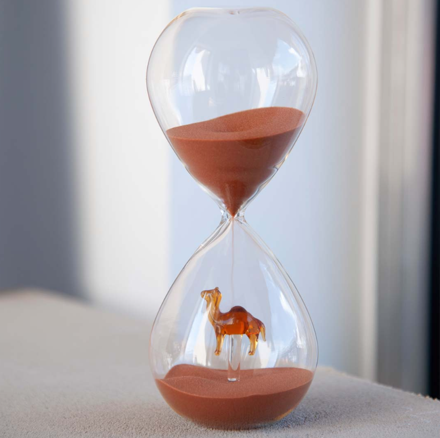 Clessidra in vetro borosilicato con soggetto colorato all'interno figura Cammello WD Lifestyle