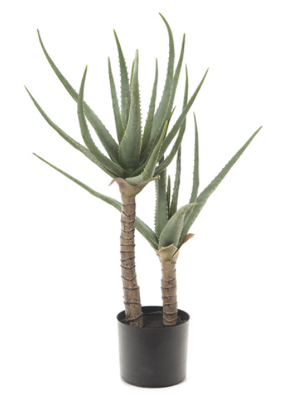 PIANTA ALOE 85cm VERDE Bruco