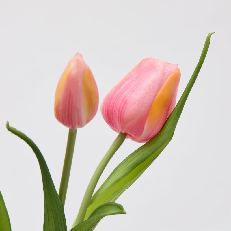Bouquet Tulipano Chiuso X4 H 40 Cm con Bocciolo Rosa Antico- EDG